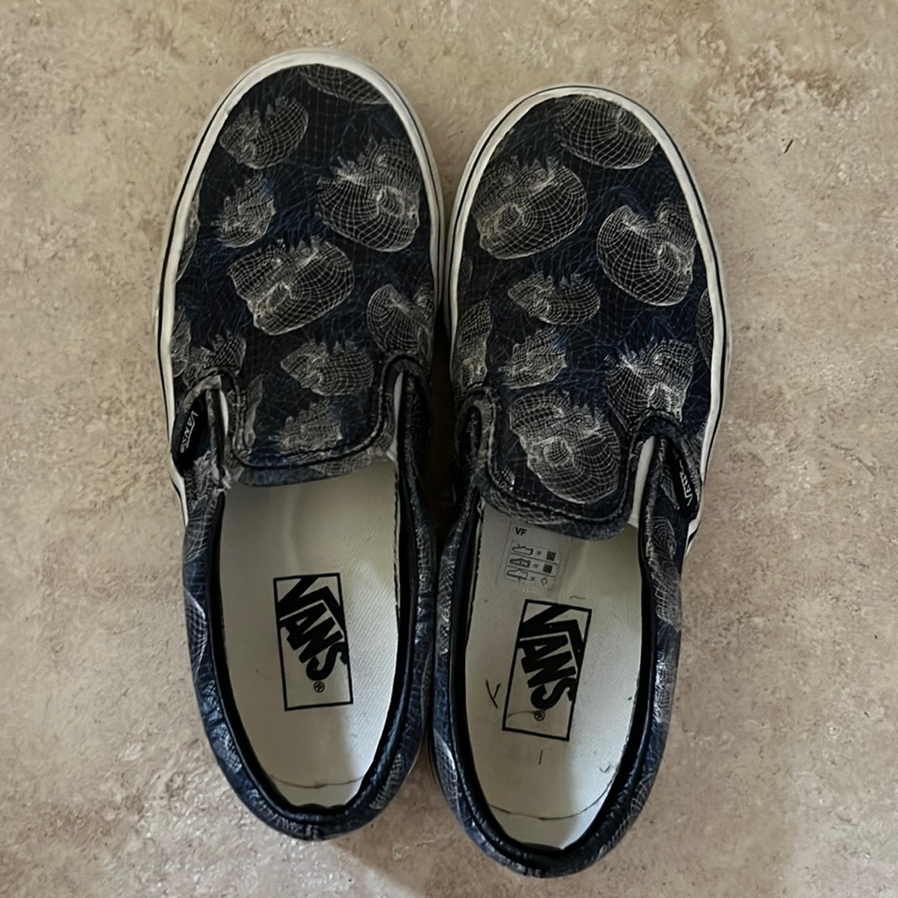 Skull Slip On Vans